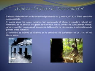 El efecto invernadero es un fenómeno originalmente útil y natural, sin él, la Tierra seria una
roca congelada.
En pocos años, los seres humanos han aumentado el efecto invernadero natural por
incremento en la emisión de gases relacionados con la quema de combustibles fósiles:
carbono, petróleo y gas natural, además de la liberación de carbono por la deforestación de
grandes áreas boscosas.
El contenido de dióxido de carbono en la atmósfera ha aumentado en un 31% en los
últimos siglos.
 