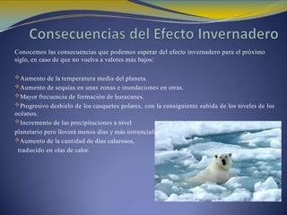 Conocemos las consecuencias que podemos esperar del efecto invernadero para el próximo
siglo, en caso de que no vuelva a valores más bajos:
Aumento de la temperatura media del planeta.
Aumento de sequías en unas zonas e inundaciones en otras.
Mayor frecuencia de formación de huracanes.
Progresivo deshielo de los casquetes polares, con la consiguiente subida de los niveles de los
océanos.
Incremento de las precipitaciones a nivel
planetario pero lloverá menos días y más torrencialmente.
Aumento de la cantidad de días calurosos,
traducido en olas de calor.
 