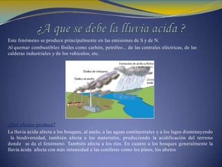 Este fenómeno se produce principalmente en las emisiones de S y de N.
Al quemar combustibles fósiles como carbón, petróleo... de las centrales eléctricas, de las
calderas industriales y de los vehículos, etc.
¿Qué efectos produce?
La lluvia ácida afecta a los bosques, al suelo, a las aguas continentales y a los lagos disminuyendo
la biodiversidad, también afecta a los materiales, produciendo la acidificación del terreno
donde se da el fenómeno. También afecta a los ríos. En cuanto a los bosques generalmente la
lluvia ácida afecta con más intensidad a las coníferas como los pinos, los abetos
 