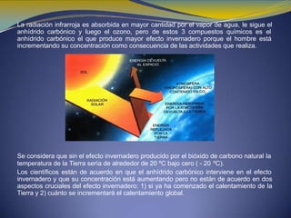 La radiación infrarroja es absorbida en mayor cantidad por el vapor de agua, le sigue el
anhídrido carbónico y luego el ozono, pero de estos 3 compuestos químicos es el
anhídrido carbónico el que produce mayor efecto invernadero porque el hombre está
incrementando su concentración como consecuencia de las actividades que realiza.
Se considera que sin el efecto invernadero producido por el bióxido de carbono natural la
temperatura de la Tierra sería de alrededor de 20 ºC bajo cero ( - 20 ºC).
Los científicos están de acuerdo en que el anhídrido carbónico interviene en el efecto
invernadero y que su concentración está aumentando pero no están de acuerdo en dos
aspectos cruciales del efecto invernadero: 1) si ya ha comenzado el calentamiento de la
Tierra y 2) cuánto se incrementará el calentamiento global.
 