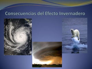  Liberación de gases en maquinaria y vehículos de motor – gases liberados a la atmosfera. El efecto invernadero es indispensable para el desarrollo de las formas de vida propias del estado actual del planeta. Sin gases invernadero la temperatura media sería de 18ºC bajo cero, comparando esto con el valor actual de la superficie terrestre que es de 15ºC.La concentración atmosférica de gases invernadero aumentó desde el inicio de la era industrial por el aumento de combustibles fósiles y destrucción de las selvas, provocando el aumento de la temperatura media de la atmósfera próxima a la superficie de la tierra (calentamiento global).