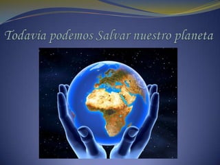 Consecuencias del Efecto Invernadero Conocemos las consecuencias que podemos esperar del efecto invernadero para el próximo siglo, en caso de que no vuelva a valores más bajos: Aumento de la temperatura media del planeta. 