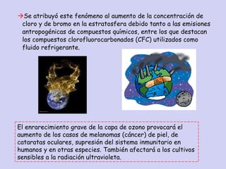  Se atribuyó este fenómeno al aumento de la concentración de cloro y de bromo en la estratosfera debido tanto a las emisiones antropogénicas de compuestos químicos, entre los que destacan los compuestos clorofluorocarbonados (CFC) utilizados como fluido refrigerante. El enrarecimiento grave de la capa de ozono provocará el aumento de los casos de melanomas (cáncer) de piel, de cataratas oculares, supresión del sistema inmunitario en humanos y en otras especies. También afectará a los cultivos sensibles a la radiación ultravioleta. 