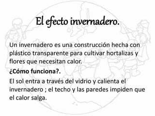 El efecto invernadero. 
Un invernadero es una construcción hecha con 
plástico transparente para cultivar hortalizas y 
flores que necesitan calor. 
¿Cómo funciona?. 
El sol entra a través del vidrio y calienta el 
invernadero ; el techo y las paredes impiden que 
el calor salga. 
 