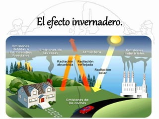 El efecto invernadero. 
 