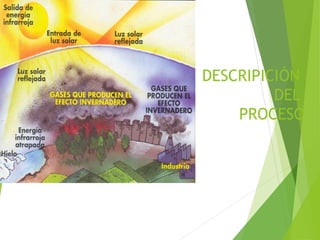 DESCRIPICIÓN
DEL
PROCESO
 