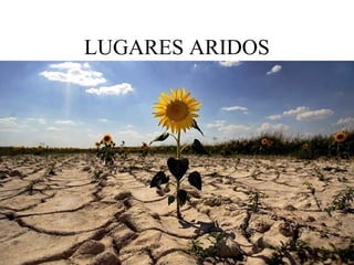 LUGARES ARIDOS
 