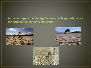 • Impacto negativo en la agricultura y de la ganadería por
los cambios en las precipitaciones.
 