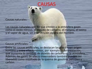 CAUSAS
Causas naturales:
Las causas naturales son las que emiten a la atmósfera gases
como el óxido nitroso, el dióxido de carbono, el metano, el ozono
y el vapor de agua, sin intervención alguna del Hombre.
Causas artificiales:
Entre las causas artificiales, se destacan las que tienen origen
humano y entre ellas tenemos, por ejemplo la deforestación,
que aumenta la cantidad de dióxido de carbono en la atmósfera.
Además, los gases de efecto invernadero también pueden ser
liberados como resultado de la quema de gasolina, petróleo y
carbón.
 