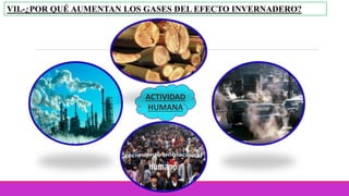 VII.-¿POR QUÉ AUMENTAN LOS GASES DEL EFECTO INVERNADERO?
ACTIVIDAD
HUMANA
 