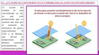 VI.- ¿CUÁNDO SE CONVIERTE EN UN PROBLEMA EL EFECTO INVERNADERO?
La acción del
hombre lo está
convirtiendo en tal,
ya que está
produciendo que se
acentué aún más por
el aumento de
emisiones de gases,
especialmente el
CO2 y el Metano,
que elevan la
temperatura del
planeta causando
principalmente el
calentamiento global.
 