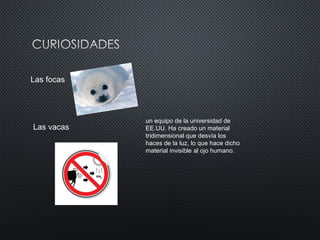 Las focas
Las vacas
un equipo de la universidad de
EE.UU. Ha creado un material
tridimensional que desvía los
haces de la luz, lo que hace dicho
material invisible al ojo humano.