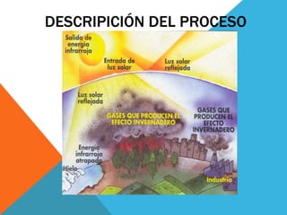 DESCRIPICIÓN DEL PROCESO
 