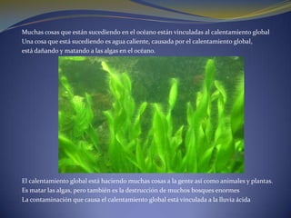 ¿Qué es el efecto invernadero inducido? El efecto invernadero inducido consistirá pues en sobrecalentamiento producido por el exceso de gases que absorben la radiación de onda larga debido a nuestras actividades humanas. 