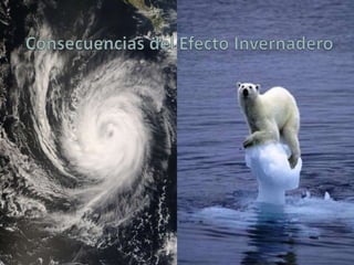 10 COSAS QUE PODEMOS HACER PARA FRENAR EL CALENTAMIENTO GLOBAL Cambia las bombillas