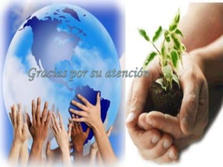 Revisa los neumáticos