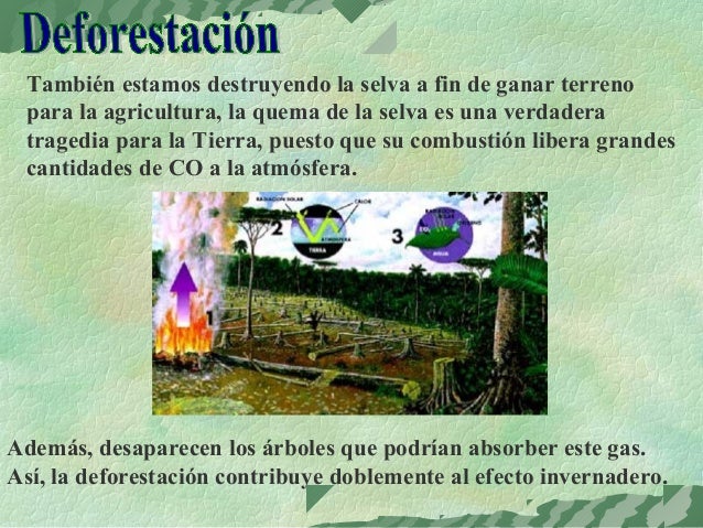 Que Pasaria Si No Existieran Los Gases Invernaderos
