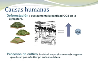 Causas humanas
Deforestación : que aumenta la cantidad CO2 en la
 atmósfera.



                                                  CO2




Procesos de cultivo: las fábricas producen muchos gases
  que duran por más tiempo en la atmósfera.
 