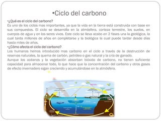 •Ciclo del carbono
•¿Qué es el ciclo del carbono?
Es uno de los ciclos mas importantes, ya que la vida en la tierra está construida con base en
sus compuestos. El ciclo se desarrolla en la atmósfera, corteza terrestre, los suelos, en
cuerpos de agua y en los seres vivos. Este ciclo se lleva acabo en 2 fases una la geológica, la
cual tarda millones de años en completarse y la biológica la cual puede tardar desde días
hasta miles de años.
•¿Cómo afecta el ciclo del carbono?
Los humanos hemos introducido mas carbono en el ciclo a través de la destrucción de
reservas naturales, la quema de carbón, petróleo o gas natural y la cría de ganado.
Aunque los océanos y la vegetación absorban bióxido de carbono, no tienen suficiente
capacidad para almacenar todo, lo que hace que la concentración del carbono y otros gases
de efecto invernadero sigan creciendo y acumulándose en la atmósfera.
 