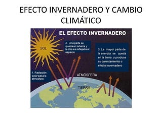 EFECTO INVERNADERO Y CAMBIO
CLIMÁTICO
 