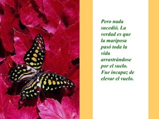 Pero nada sucedió. La verdad es que la mariposa pasó toda la vida arrastrándose por el suelo. Fue incapaz de elevar el vuelo.
