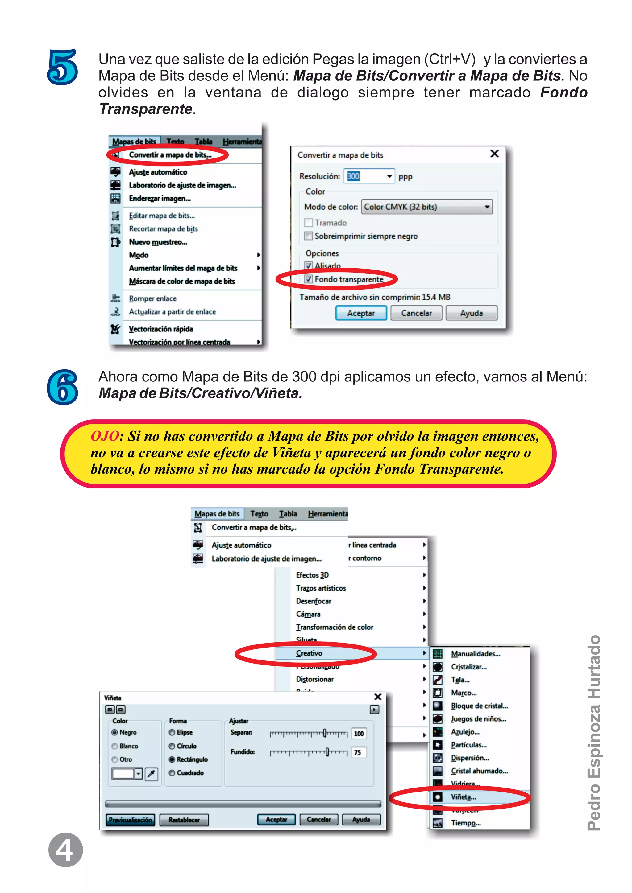 5 Una vez que saliste de la edición Pegas la imagen (Ctrl+V) y la conviertes a
Mapa de Bits desde el Menú: Mapa de Bits/Convertir a Mapa de Bits. No
olvides en la ventana de dialogo siempre tener marcado Fondo
Transparente.
6 Ahora como Mapa de Bits de 300 dpi aplicamos un efecto, vamos al Menú:
Mapa de Bits/Creativo/Viñeta.
OJO: Si no has convertido a Mapa de Bits por olvido la imagen entonces,
no va a crearse este efecto de Viñeta y aparecerá un fondo color negro o
blanco, lo mismo si no has marcado la opción Fondo Transparente.

PedroEspinozaHurtado
 
