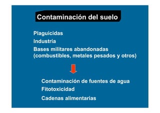 Contaminación del suelo

Plaguicidas
Industria
Bases militares abandonadas
(combustibles, metales pesados y otros)



   Contaminación de fuentes de agua
   Fitotoxicidad
   Cadenas alimentarias
 