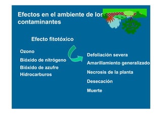 Efectos en el ambiente de los
contaminantes

    Efecto fitotóxico

Ozono
                        Defoliación severa
Bióxido de nitrógeno
                        Amarillamiento generalizado
Bióxido de azufre
                        Necrosis de la planta
Hidrocarburos
                        Desecación
                        Muerte
 