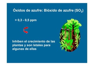 Óxidos de azufre: Bióxido de azufre (SO2)

 > 0,3 - 0,5 ppm




Inhiben el crecimiento de las
plantas y son letales para
algunas de ellas
 