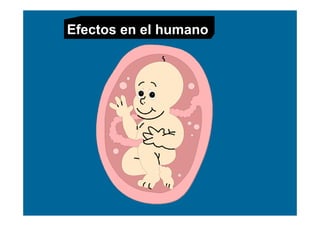 Efectos en el humano
 
