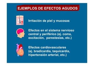 EJEMPLOS DE EFECTOS AGUDOS


    Irritación de piel y mucosas


    Efectos en el sistema nervioso
    central y periférico (ej. coma,
    excitación, parestesias, etc.)


    Efectos cardiovasculares
    (ej. bradicardia, taquicardia,
    hipertensión arterial, etc.)
 