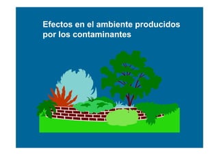 Efectos en el ambiente producidos
por los contaminantes
 