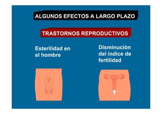 ALGUNOS EFECTOS A LARGO PLAZO


  TRASTORNOS REPRODUCTIVOS

Esterilidad en    Disminución
el hombre         del índice de
                  fertilidad
 
