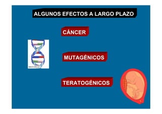 ALGUNOS EFECTOS A LARGO PLAZO


        CÁNCER



        MUTAGÉNICOS



        TERATOGÉNICOS
 