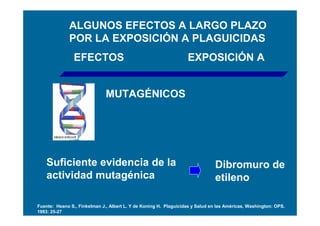 ALGUNOS EFECTOS A LARGO PLAZO
              POR LA EXPOSICIÓN A PLAGUICIDAS
                EFECTOS                                           EXPOSICIÓN A


                              MUTAGÉNICOS




    Suficiente evidencia de la                                                 Dibromuro de
    actividad mutagénica                                                       etileno

Fuente: Heano S., Finkelman J., Albert L. Y de Koning H. Plaguicidas y Salud en las Américas, Washington: OPS.
1993: 25-27
 