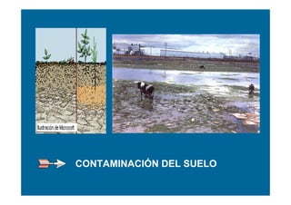 CONTAMINACIÓN DEL SUELO
 