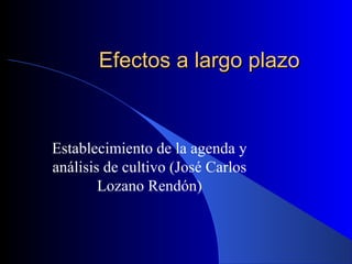 Efectos a largo plazo

Establecimiento de la agenda y
análisis de cultivo (José Carlos
Lozano Rendón)

 