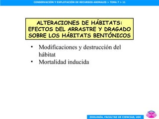ALTERACIONES DE HÁBITATS: EFECTOS DEL ARRASTRE Y DRAGADO SOBRE LOS HÁBITATS BENTÓNICOS Modificaciones y destrucción del hábitat Mortalidad inducida 