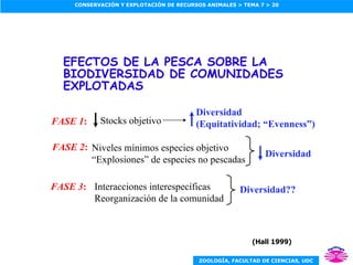 EFECTOS DE LA PESCA SOBRE LA BIODIVERSIDAD DE COMUNIDADES EXPLOTADAS (Hall 1999) Diversidad?? FASE 1 : Stocks objetivo Diversidad (Equitatividad; “Evenness”) FASE 2 : Niveles mínimos especies objetivo “ Explosiones” de especies no pescadas Diversidad FASE 3 : Interacciones interespecíficas Reorganización de la comunidad 