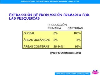 EXTRACCIÓN DE PRODUCCIÓN PRIMARIA POR LAS PESQUERÍAS (Pauly & Christensen 1995) GLOBAL 8% 100% ÁREAS OCEÁNICAS 2%   5% ÁREAS COSTERAS 25-34%   95% PRODUCCIÓN PRIMARIA CAPTURAS 