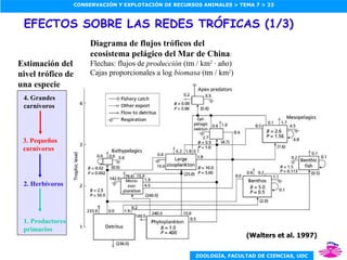 EFECTOS SOBRE LAS REDES TRÓFICAS (1/3) Diagrama de flujos tróficos del ecosistema pelágico del Mar de China : Flechas: flujos de  producción  (tm / km 2  · año) Cajas proporcionales a log  biomasa  (tm / km 2 ) 1. Productores primarios 4. Grandes carnívoros 3. Pequeños carnívoros 2. Herbívoros Estimación del nivel trófico de una especie (Walters et al. 1997) 