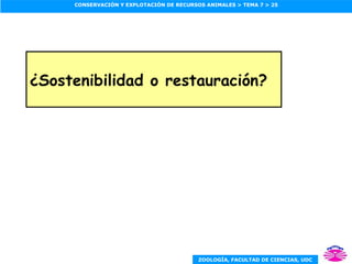 ¿Sostenibilidad o restauración? 