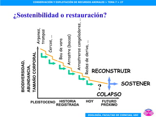 ? COLAPSO SOSTENER RECONSTRUIR ¿Sostenibilidad o restauración? PLEISTOCENO BIODIVERSIDAD, ABUNDANCIA, TAMAÑO CORPORAL HISTORIA REGISTRADA HOY FUTURO PRÓXIMO Arpones,  trampas Cercos, ... Bou de vara Arrastre (bacas) Arrastreros congeladores, ... Redes de deriva, ... 