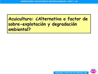 Acuicultura: ¿Alternativa o factor de sobre-explotación y degradación ambiental? 