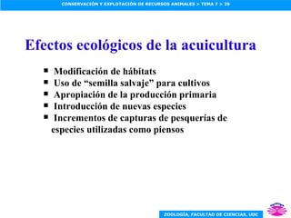 Efectos ecológicos de la acuicultura Modificación de hábitats Uso de “semilla salvaje” para cultivos Apropiación de la producción primaria Introducción de nuevas especies Incrementos de capturas de pesquerías de especies utilizadas como piensos 