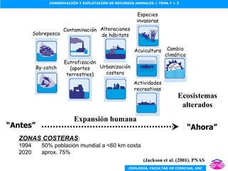 (Jackson et al. (2001). PNAS Ecosistemas alterados Expansión humana ZONAS COSTERAS : 1994 50% población mundial a <60 km costa 2020 aprox. 75% Sobrepesca By-catch Contaminación Eutrofización (aportes terrestres) Actividades recreativas Especies invasoras Acuicultura Cambio climático Alteraciones de hábitats Urbanización costera “ Antes” “ Ahora” 