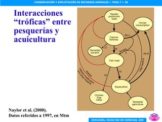 Interacciones “tróficas” entre pesquerías y acuicultura  Naylor et al. (2000). Datos referidos a 1997, en Mtm 