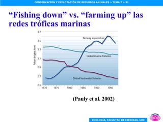 “ Fishing down” vs. “farming up” las redes tróficas marinas (Pauly et al. 2002) 