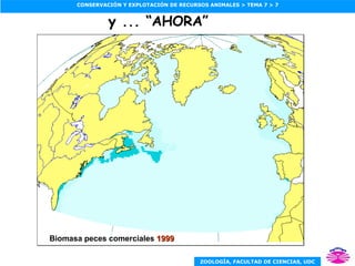 Biomasa peces comerciales  1999 y  ... “AHORA” 