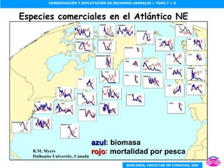 azul :  biomasa rojo :  mortalidad por pesca R.M. Myers Dalhouise University, Canadá Especies comerciales en el Atlántico NE 